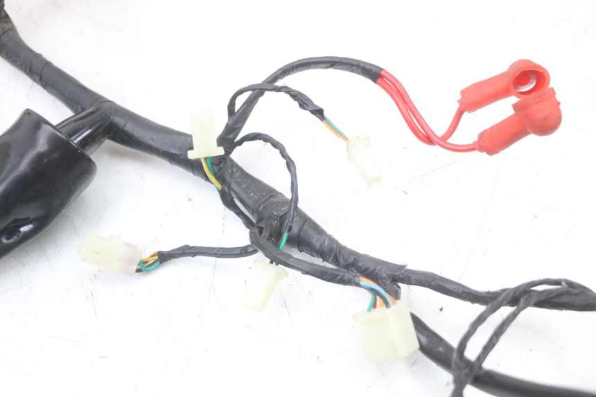 photo de WIRE HARNESS MASH LEGEND'R 4T 50 (2021 - 2025) - Component zoom
