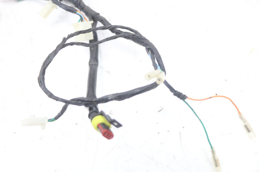 photo de WIRE HARNESS MASH LEGEND'R 4T 50 (2021 - 2025) - High-resolution close-up