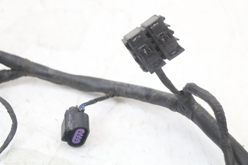 photo de WIRE HARNESS MASH LEGEND'R 4T 50 (2021 - 2025) - Checked used part