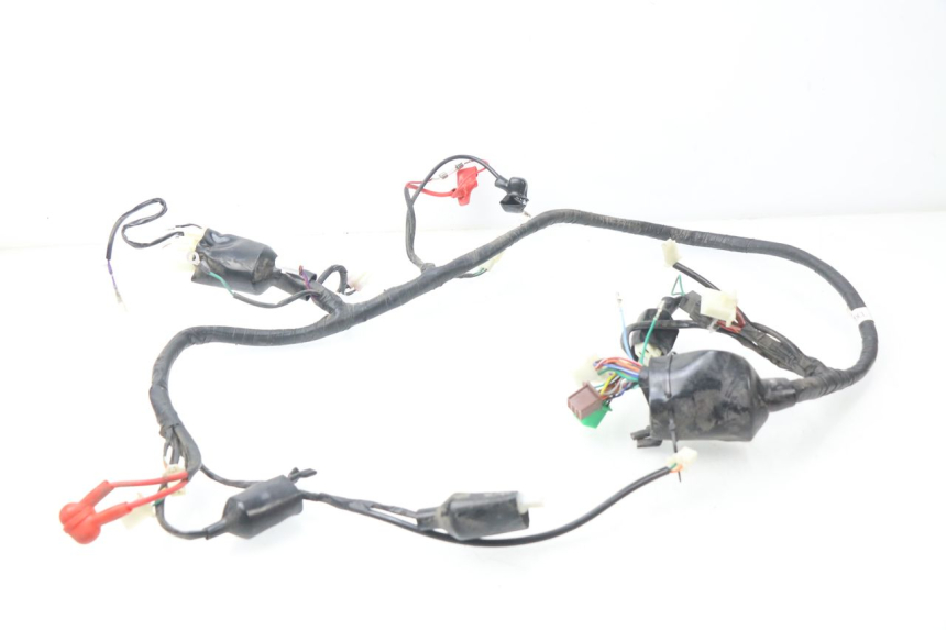 photo de WIRING HARNESS JM MOTORS MIA 50 (2017 - 2020) - Main view