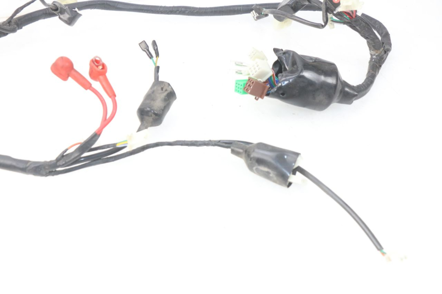photo de WIRING HARNESS JM MOTORS MIA 50 (2017 - 2020) - Zoom on usage condition