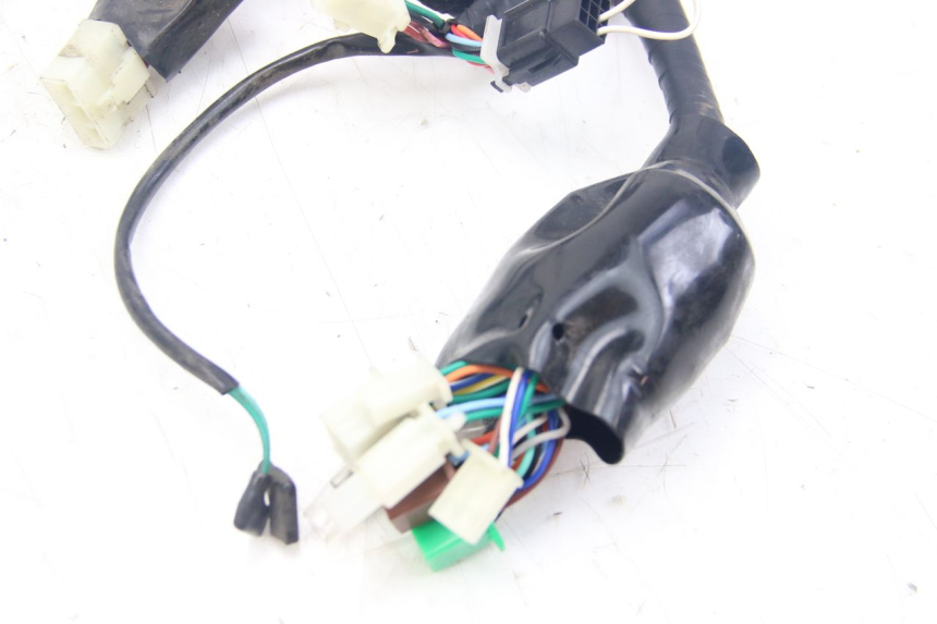 photo de WIRING HARNESS JM MOTORS MIA 50 (2017 - 2020) - Zoom on usage condition