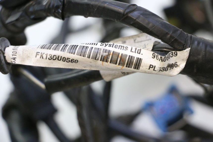 photo de WIRING HARNESS PIAGGIO MP3 LT 300 (2010 - 2016) - Component detail