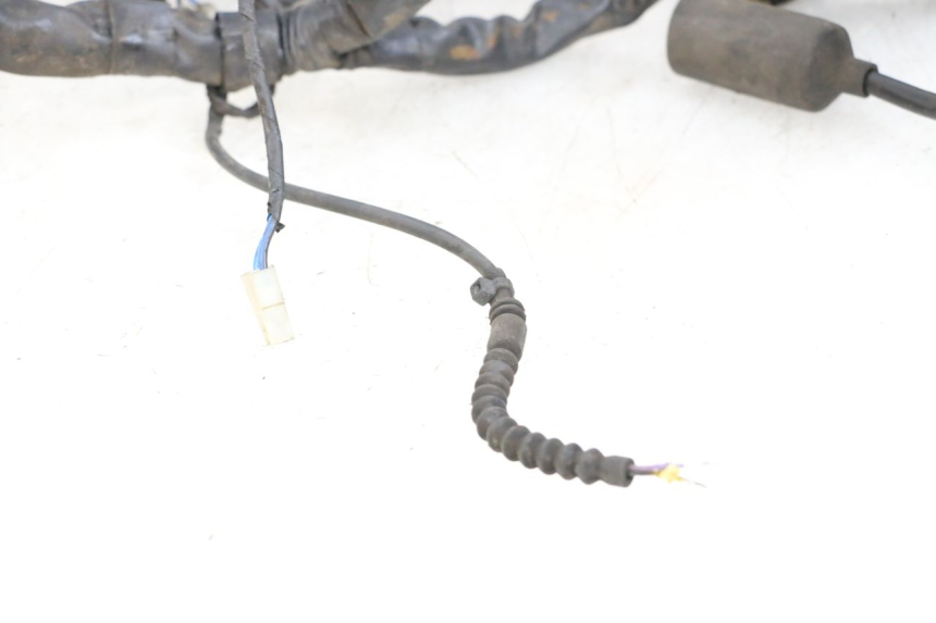 photo de WIRE HARNESS PIAGGIO MP3 500 (2011 - 2015) - Product overview