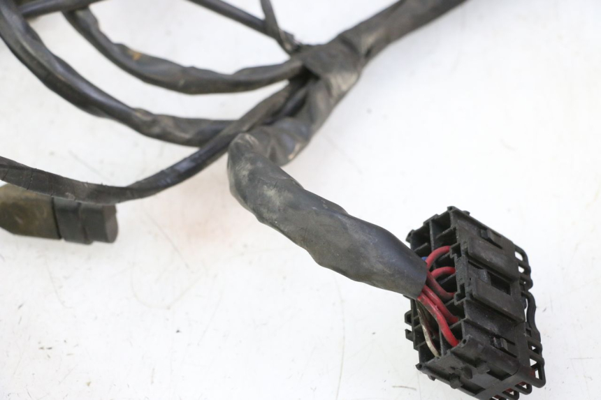 photo de WIRE HARNESS PIAGGIO MP3 125 (2006 - 2014) - Distinctive features
