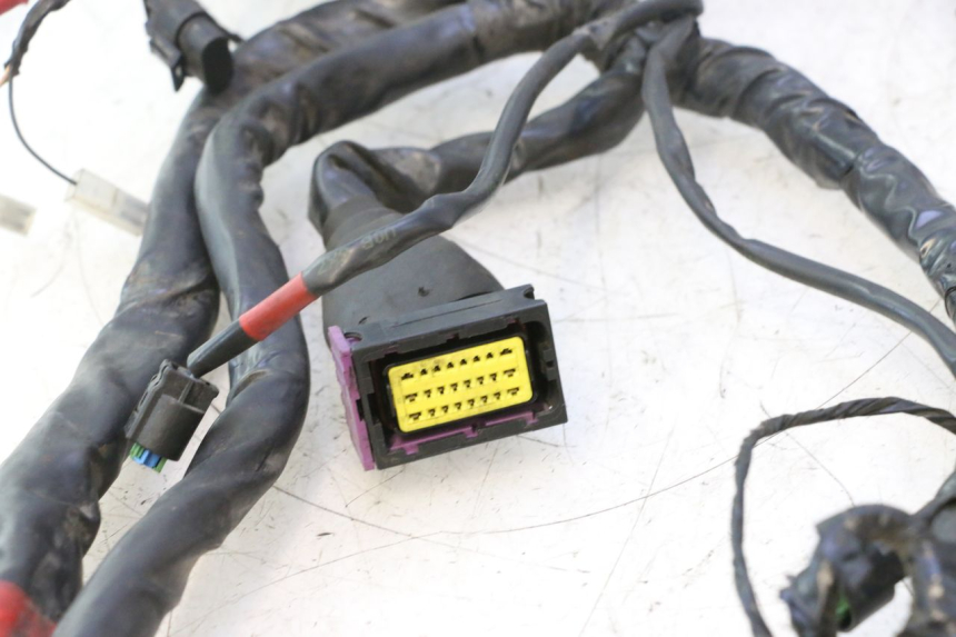 photo de WIRE HARNESS PIAGGIO MP3 500 (2016 - 2018) - Distinctive features
