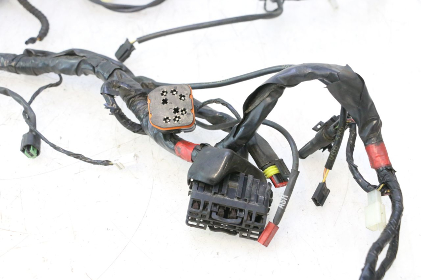 photo de WIRE HARNESS PIAGGIO MP3 500 (2016 - 2018) - High-resolution close-up