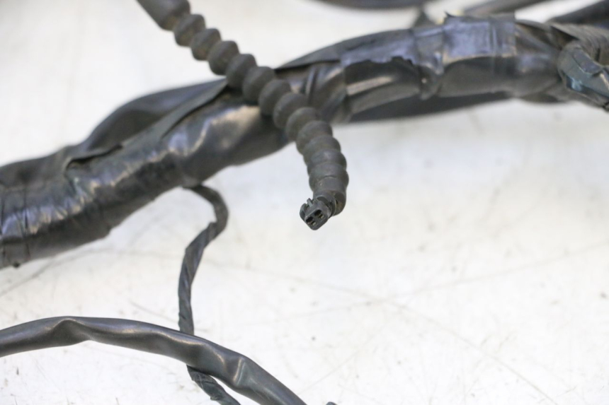photo de WIRE HARNESS PIAGGIO MP3 500 (2016 - 2018) - Used quality zoom