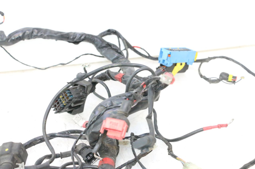 photo de WIRE HARNESS PIAGGIO MP3 500 (2016 - 2018) - Main view