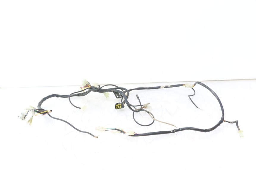 photo de WIRE HARNESS RIEJU MRT PRO SUPERMOTARD 50 (2007 - 2018) - Main view