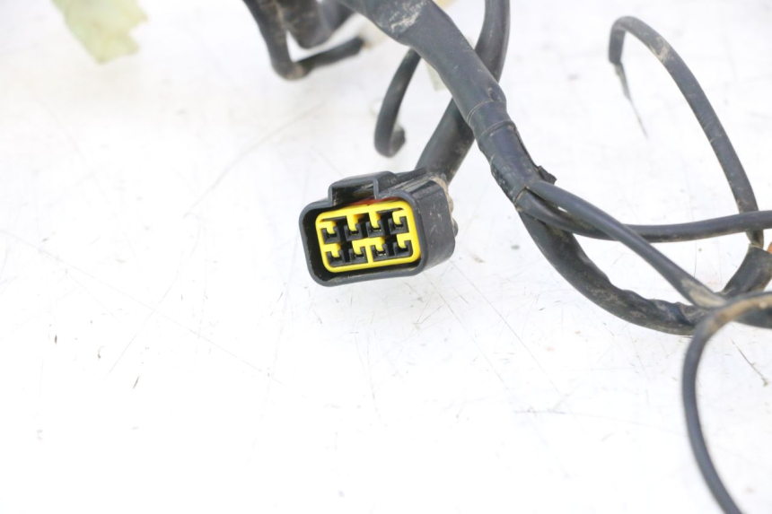 photo de WIRE HARNESS RIEJU MRT PRO SUPERMOTARD 50 (2007 - 2018) - Component detail
