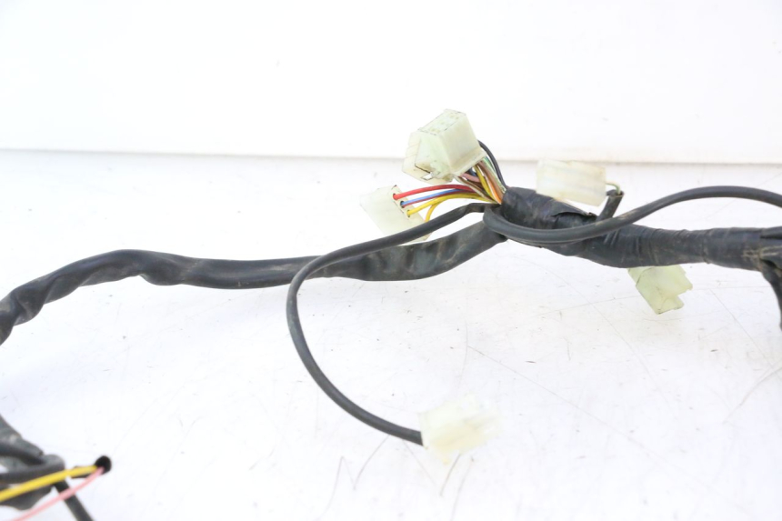 photo de WIRE HARNESS RIEJU MRT PRO SUPERMOTARD 50 (2007 - 2018) - Alternative perspective
