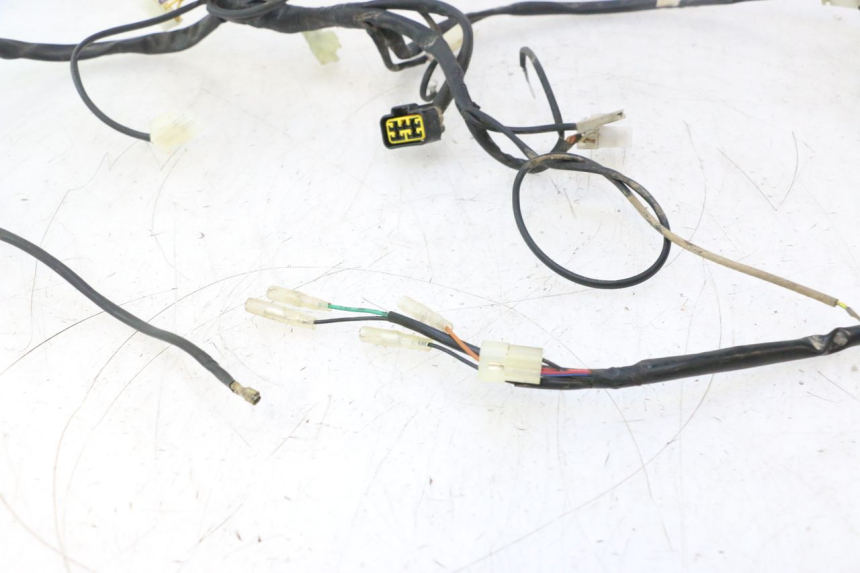 photo de WIRE HARNESS RIEJU MRT PRO SUPERMOTARD 50 (2007 - 2018) - Technical close-up