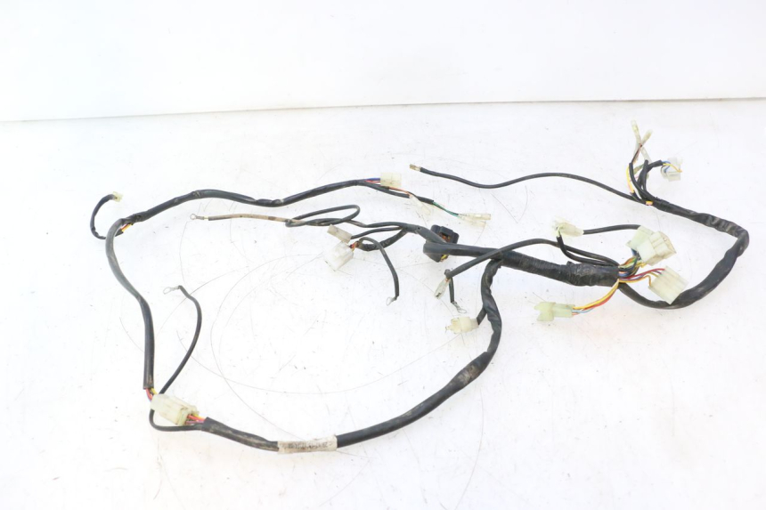 photo de WIRE HARNESS RIEJU MRT PRO SUPERMOTARD 50 (2007 - 2018) - Markings and original references