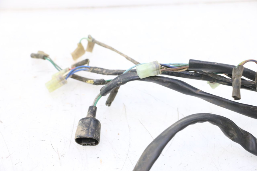 photo de WIRE HARNESS KYMCO MXU R 250 (2004 - 2010) - Technical close-up