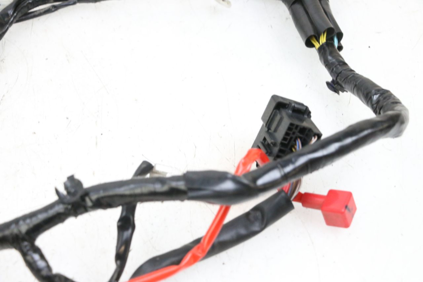 photo de WIRE HARNESS YAMAHA NEO'S CORE 1 (2022 - 2026) - Distinctive features
