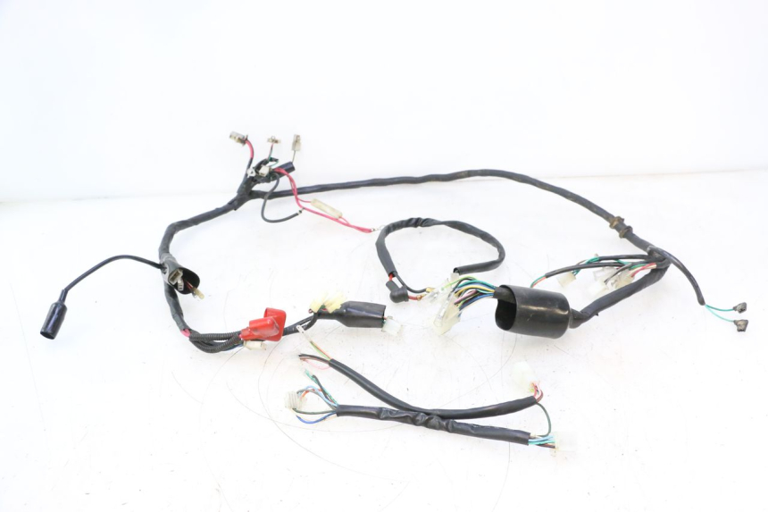 photo de WIRE HARNESS IMF INDUSTRIE NEW PACH 2T 50 (2014 - 2020) - Main view