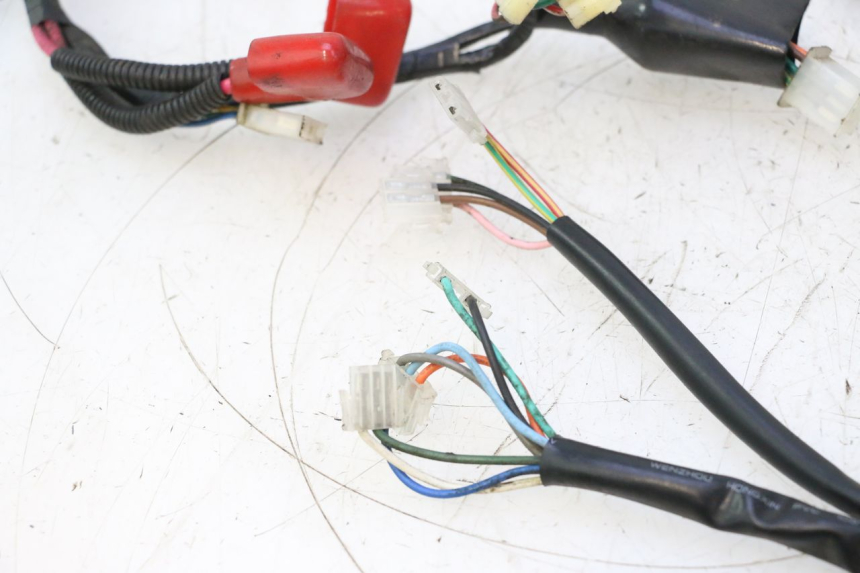 photo de WIRE HARNESS IMF INDUSTRIE NEW PACH 2T 50 (2014 - 2020) - Distinctive features