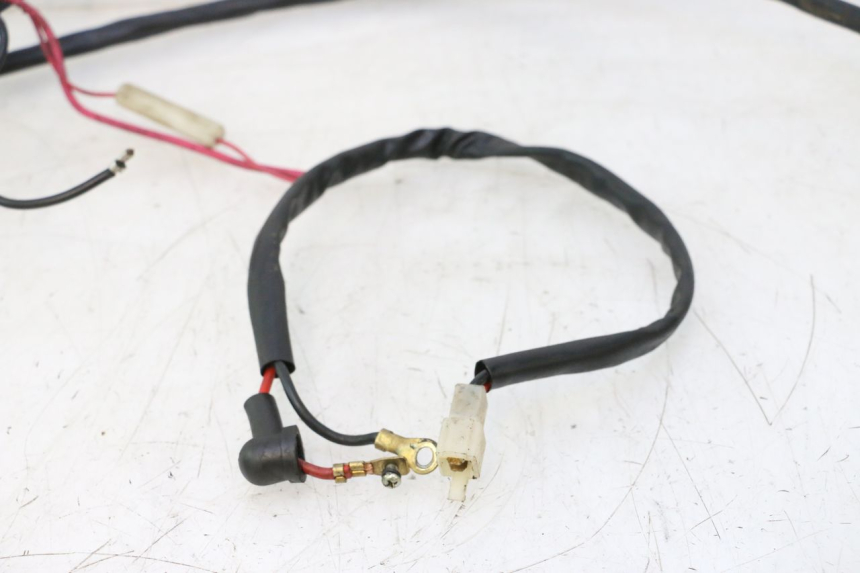 photo de WIRE HARNESS IMF INDUSTRIE NEW PACH 2T 50 (2014 - 2020) - Fixing points details