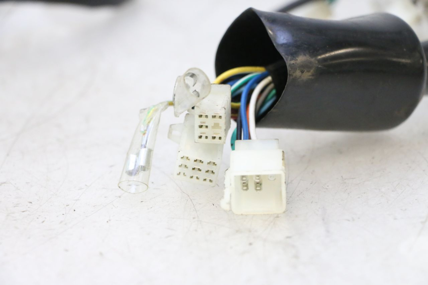 photo de WIRE HARNESS IMF INDUSTRIE NEW PACH 2T 50 (2014 - 2020) - Surface and material condition