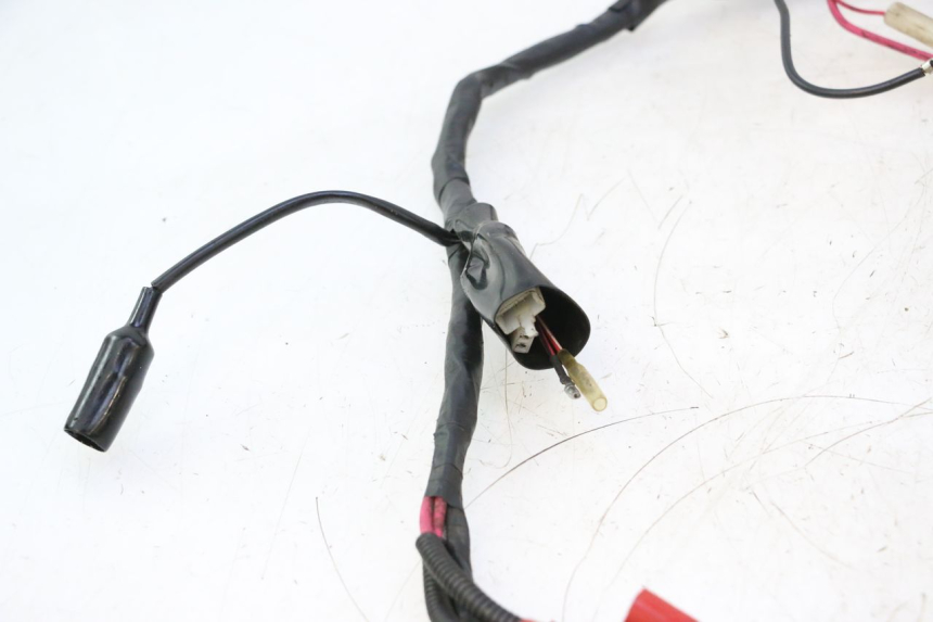 photo de WIRE HARNESS IMF INDUSTRIE NEW PACH 2T 50 (2014 - 2020) - Checked used part