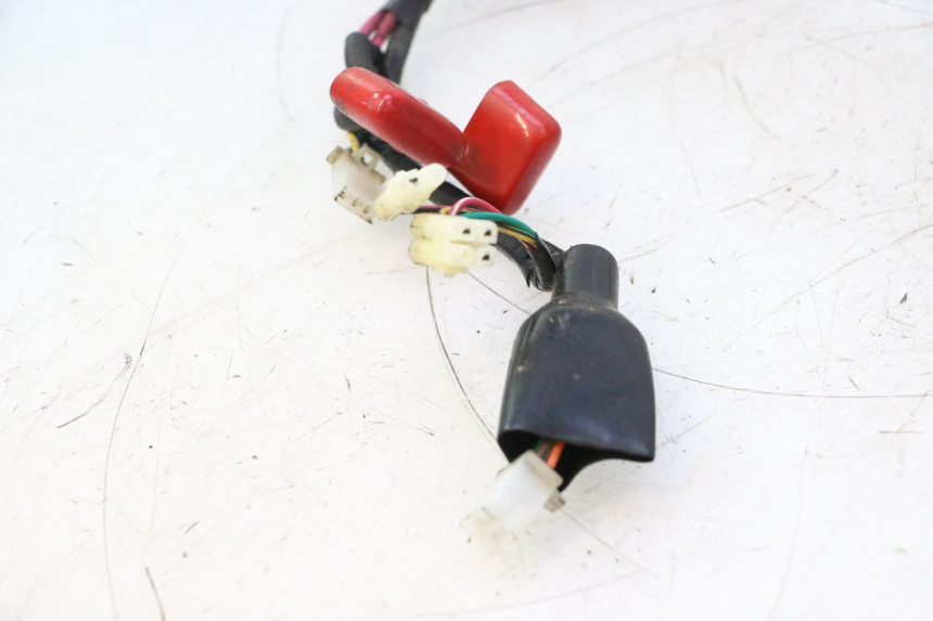 photo de WIRE HARNESS IMF INDUSTRIE NEW PACH 2T 50 (2014 - 2020) - Markings and original references