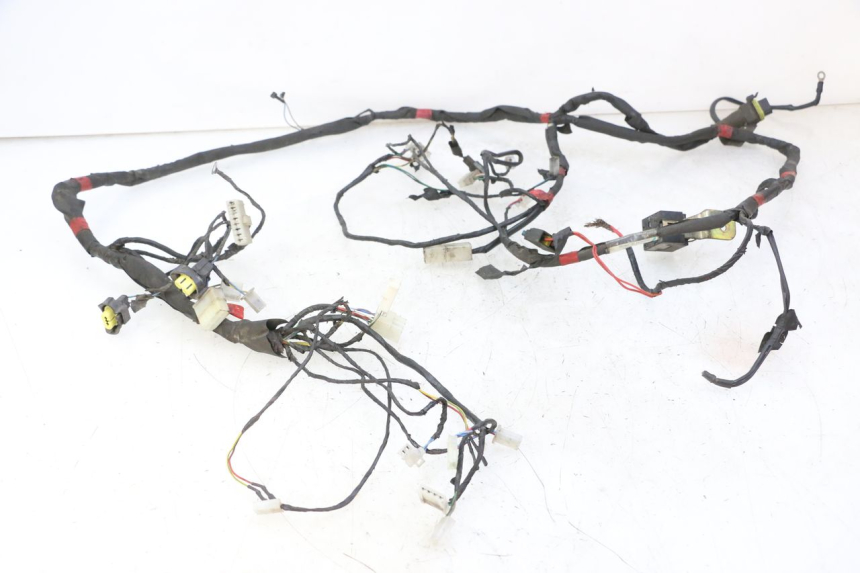 photo de WIRE HARNESS PIAGGIO NEW TYPHOON 50 (2010 - 2017) - Main view