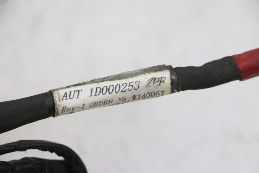 photo de WIRE HARNESS PIAGGIO NEW TYPHOON 50 (2010 - 2017) - Component detail