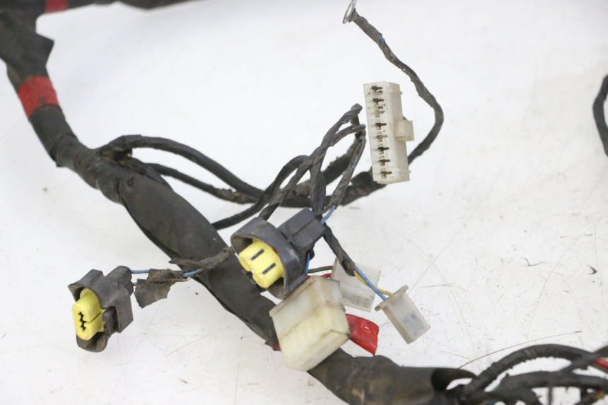 photo de WIRE HARNESS PIAGGIO NEW TYPHOON 50 (2010 - 2017) - High-resolution close-up