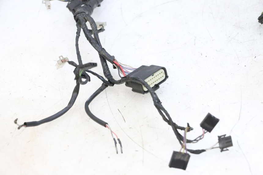 photo de WIRING HARNESS PIAGGIO NEW TYPHOON 50 (2018 - 2021) - Distinctive features