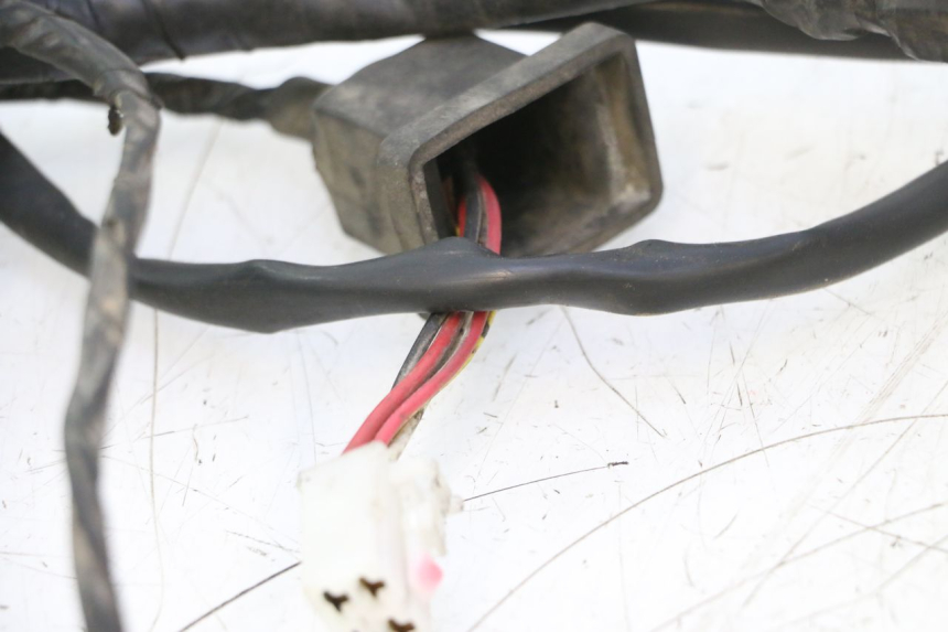 photo de WIRE HARNESS MBK NITRO 50 (2004 - 2008) - Alternative perspective