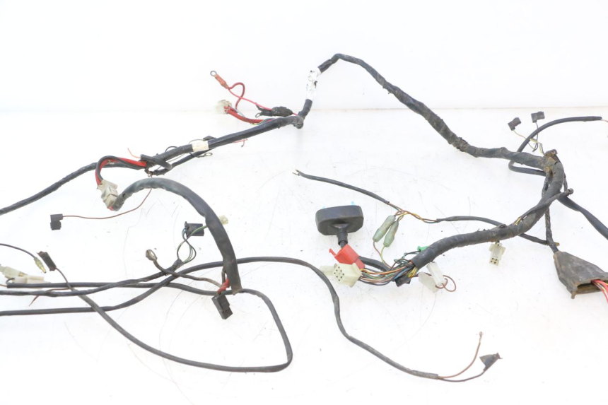 photo de WIRE HARNESS MBK NITRO 50 (2004 - 2008) - Component detail