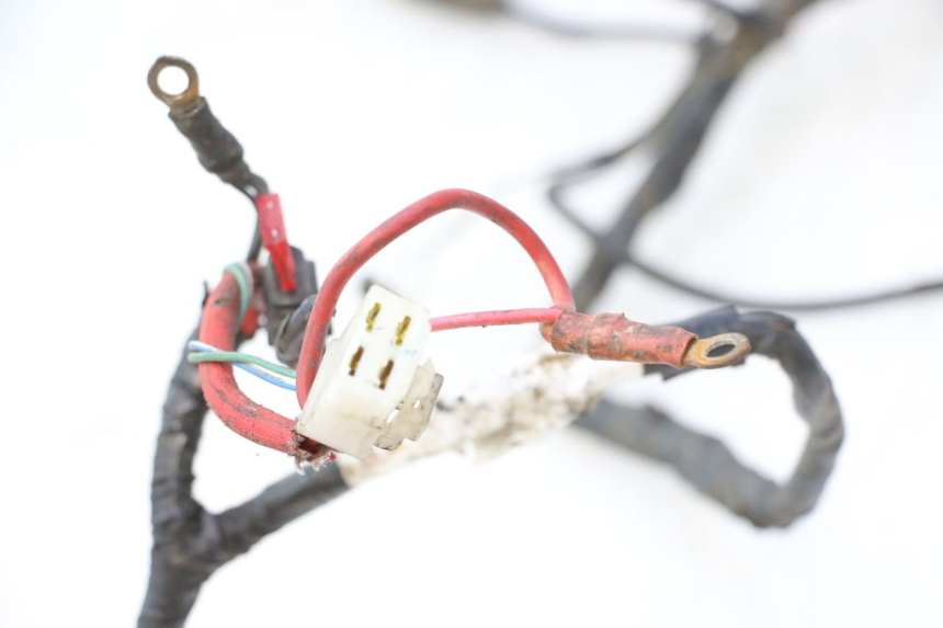 photo de WIRE HARNESS MBK NITRO 50 (2004 - 2008) - Main view