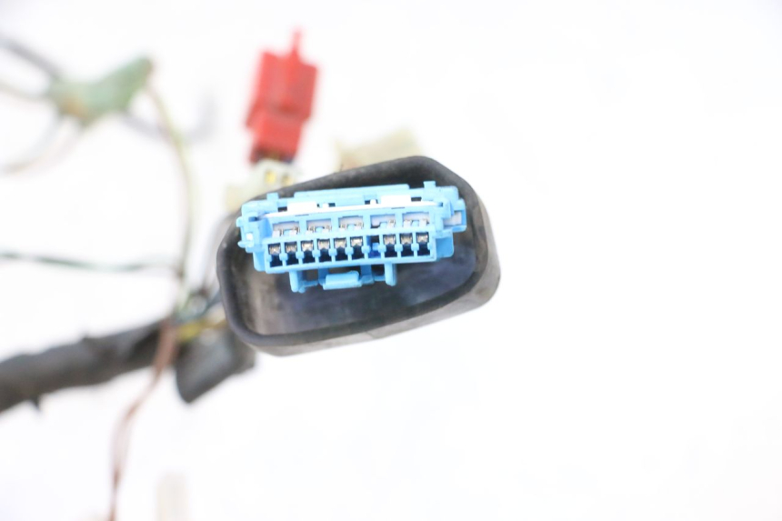 photo de WIRE HARNESS MBK NITRO 50 (2004 - 2008) - Alternative perspective