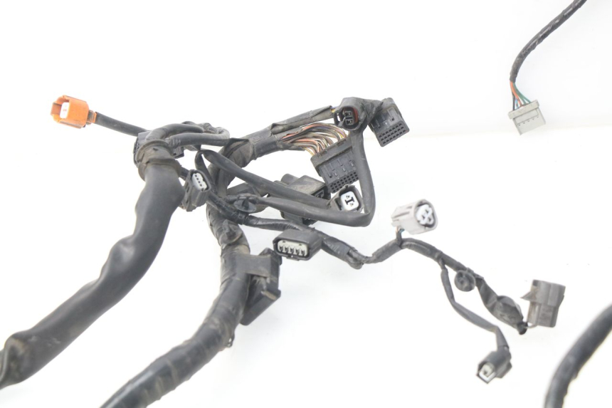 photo de WIRE HARNESS HONDA NSS EX FORZA 250 (2005 - 2013) - Alternative perspective