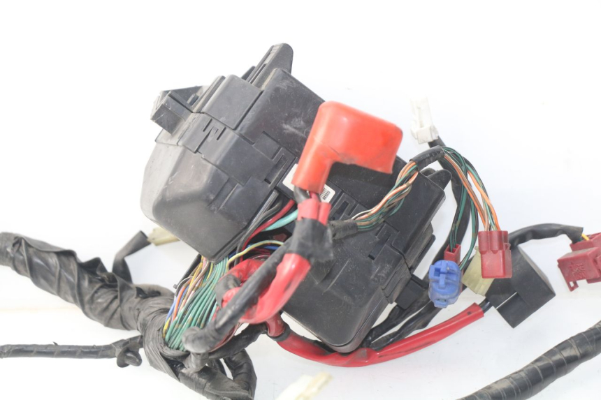 photo de WIRE HARNESS HONDA NSS EX FORZA 250 (2005 - 2013) - Checked used part