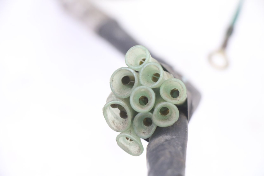 photo de WIRE HARNESS HONDA NTV DEAUVILLE 650 (2001 - 2006) - Alternative perspective