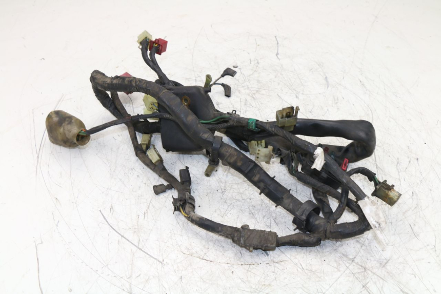 photo de WIRE HARNESS HONDA NTV REVERSE 650 (1993 - 1994) - Alternative perspective