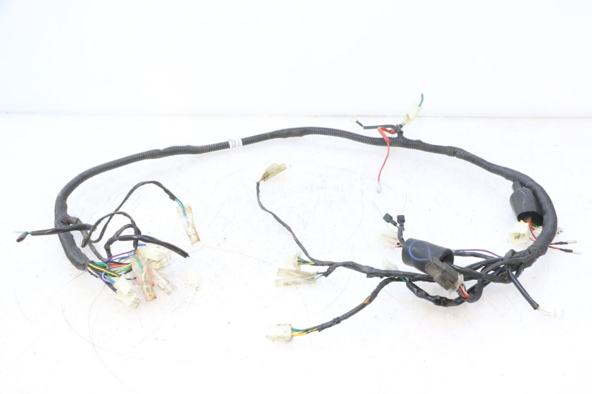 photo de WIRING HARNESS JM MOTORS OLDIES 4T 50 (2010 - 2020) - Main view