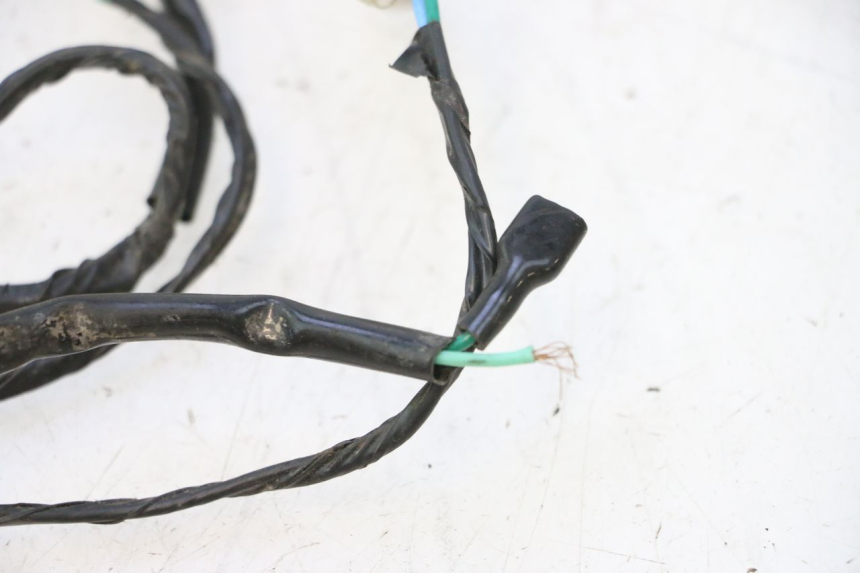 photo de WIRING HARNESS JM MOTORS OLDIES 4T 50 (2010 - 2020) - Component detail
