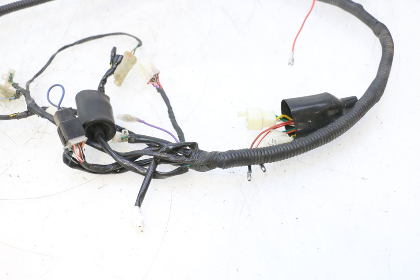 photo de WIRING HARNESS JM MOTORS OLDIES 4T 50 (2010 - 2020) - Distinctive features