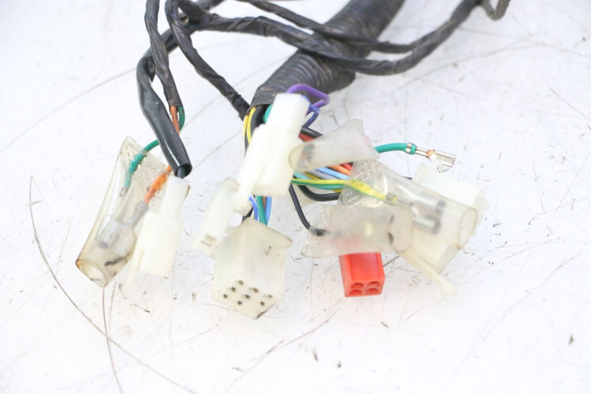 photo de WIRING HARNESS JM MOTORS OLDIES 4T 50 (2010 - 2020) - High-resolution close-up