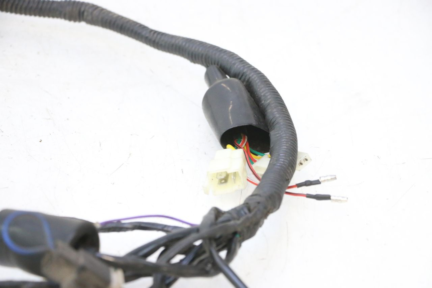 photo de WIRING HARNESS JM MOTORS OLDIES 4T 50 (2010 - 2020) - Detailed visual inspection