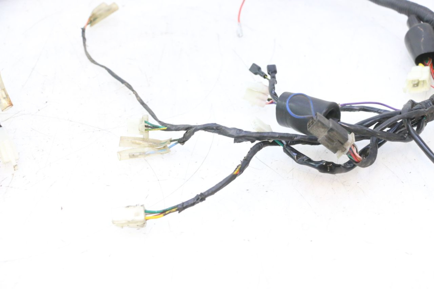 photo de WIRING HARNESS JM MOTORS OLDIES 4T 50 (2010 - 2020) - Focus on structure