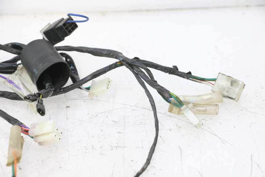 photo de WIRING HARNESS JM MOTORS OLDIES 4T 50 (2010 - 2020) - Markings and original references