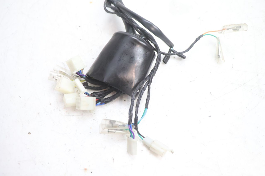 photo de WIRE HARNESS JM MOTORS OLDIES 4T 50 (2020 - 2026) - Component detail