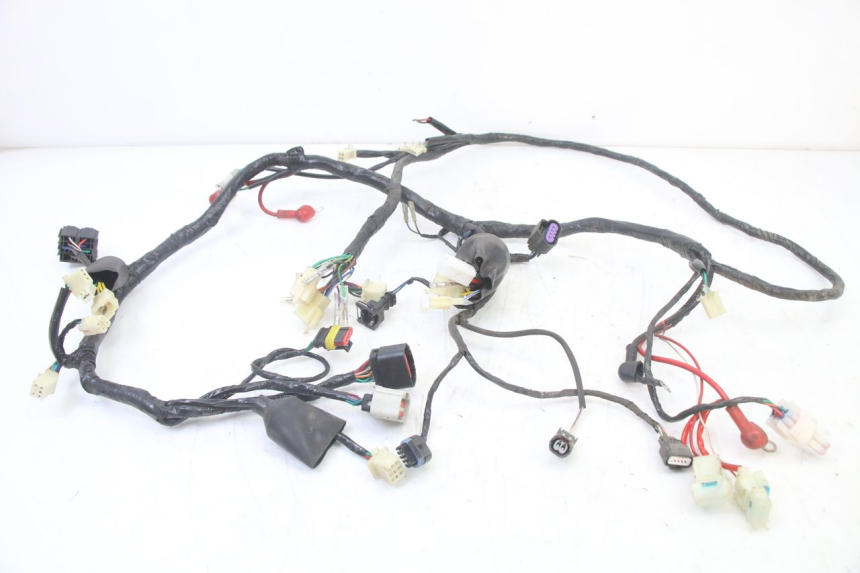 photo de WIRE HARNESS JM MOTORS OLDIES GT 4T 50 (2018 - 2025) - Main view