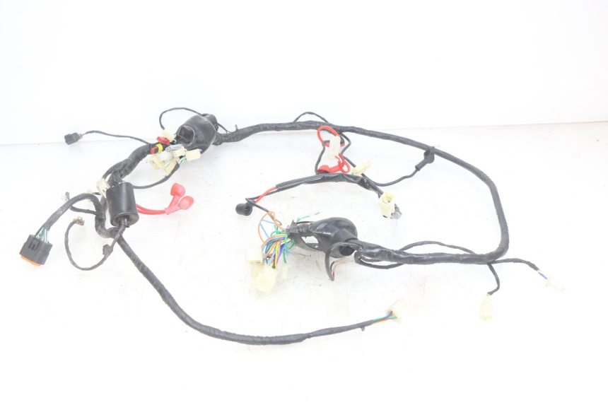 photo de WIRING HARNESS JM MOTORS OLDIES RS 4T 50 (2021 - 2024) - Main view