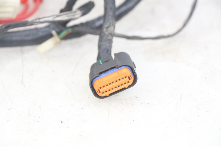 photo de WIRING HARNESS JM MOTORS OLDIES RS 4T 50 (2021 - 2024) - Fixing points details