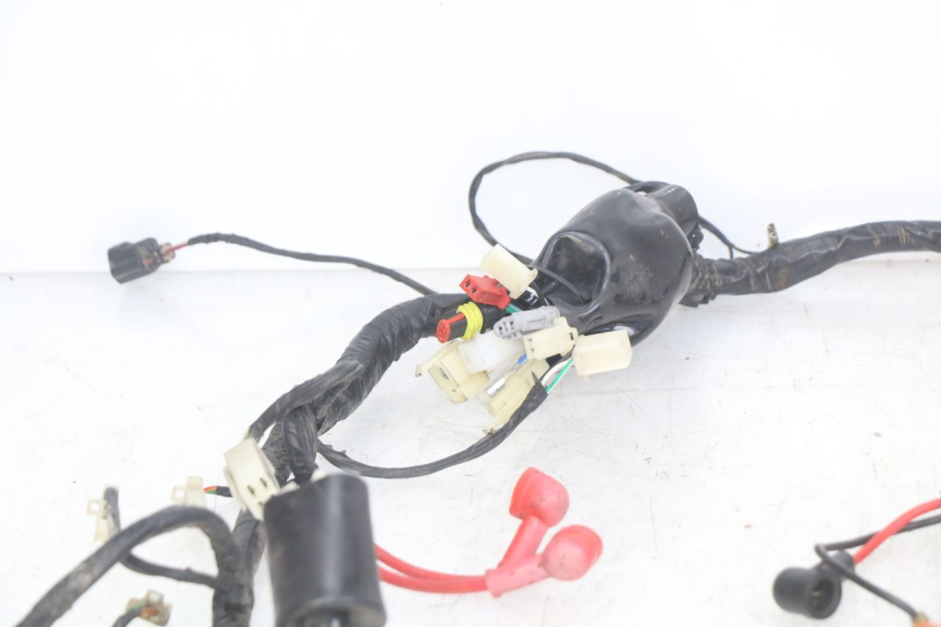 photo de WIRING HARNESS JM MOTORS OLDIES RS 4T 50 (2021 - 2024) - Markings and original references